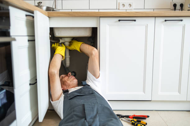  Bohners Lake, WI Plumbing Pros